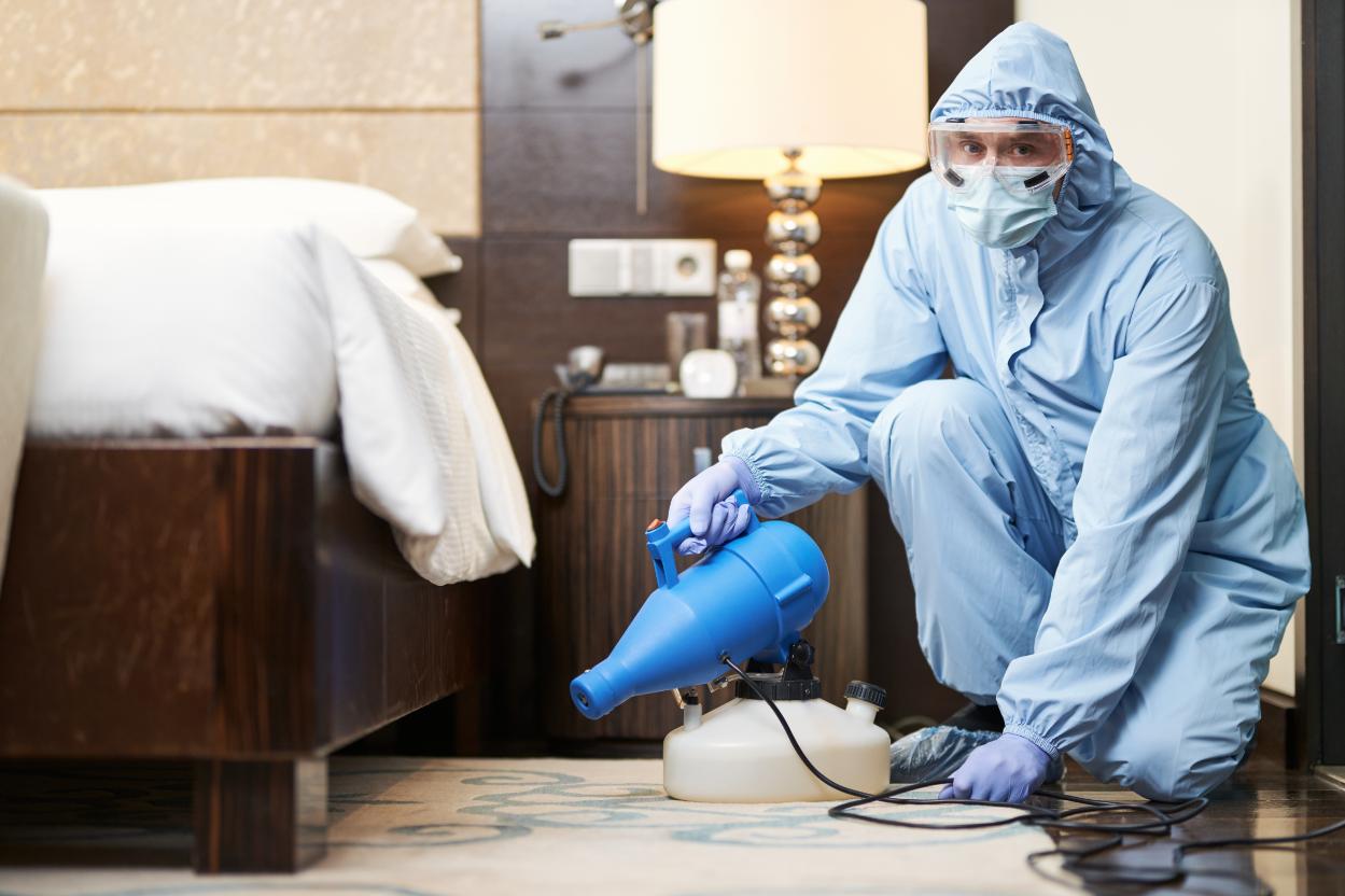 Pest control specialist treating bed bug infestation in hotel room